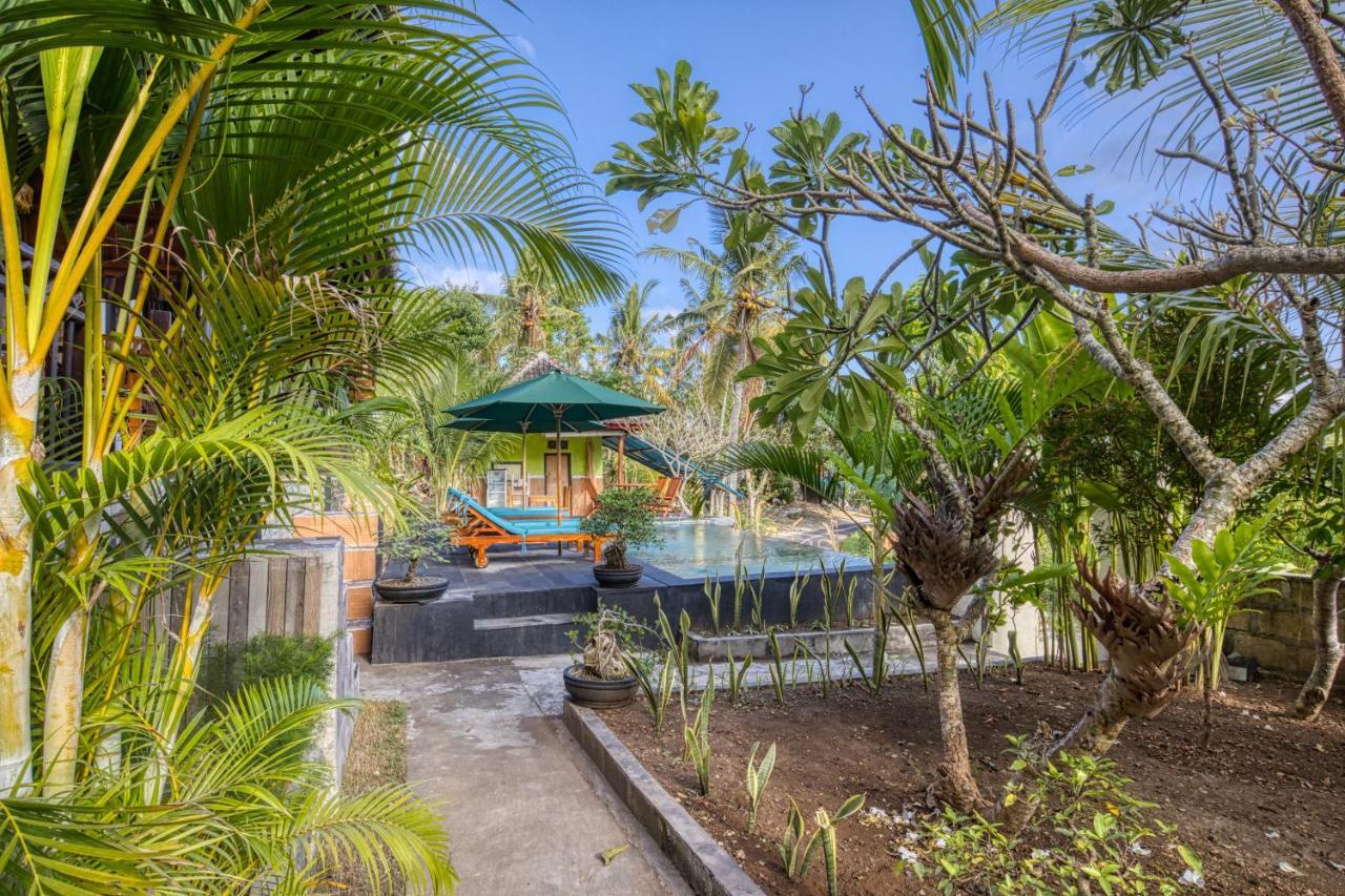 The Mountain Cottage Sakti Exterior foto